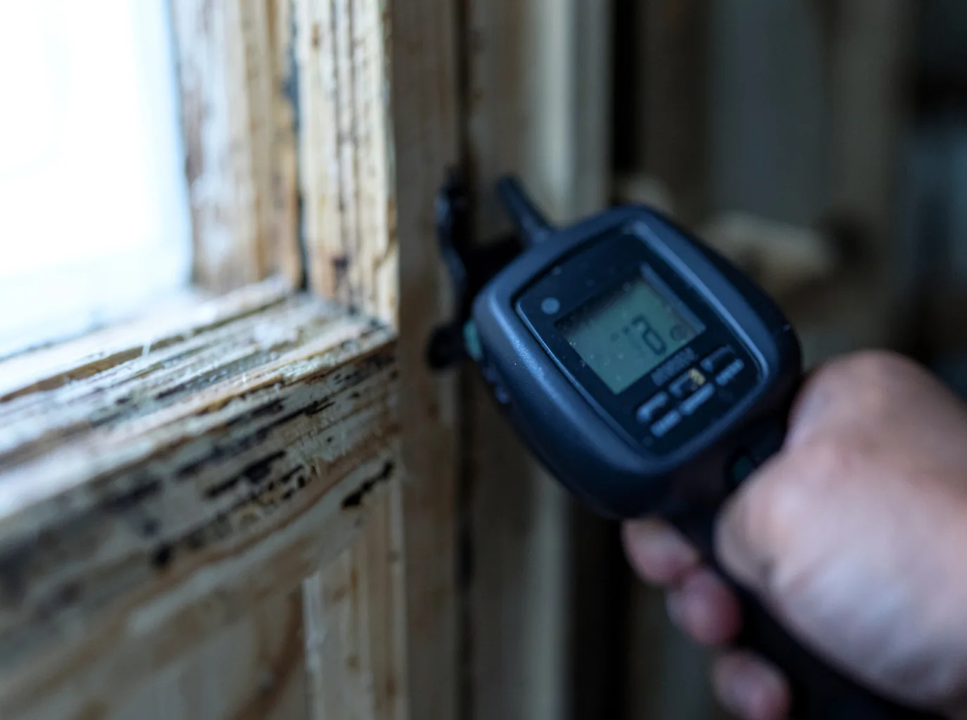 Moisture Inspection And Documentation in Summerfield, TX